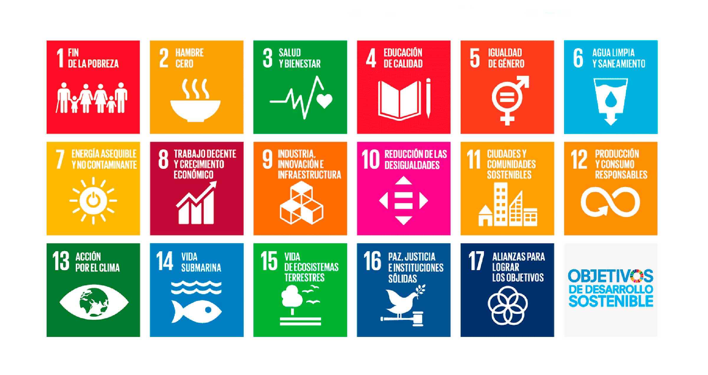Objetivos de Desarrollo Sostenible, Agenda 2030 de las Naciones Unidas